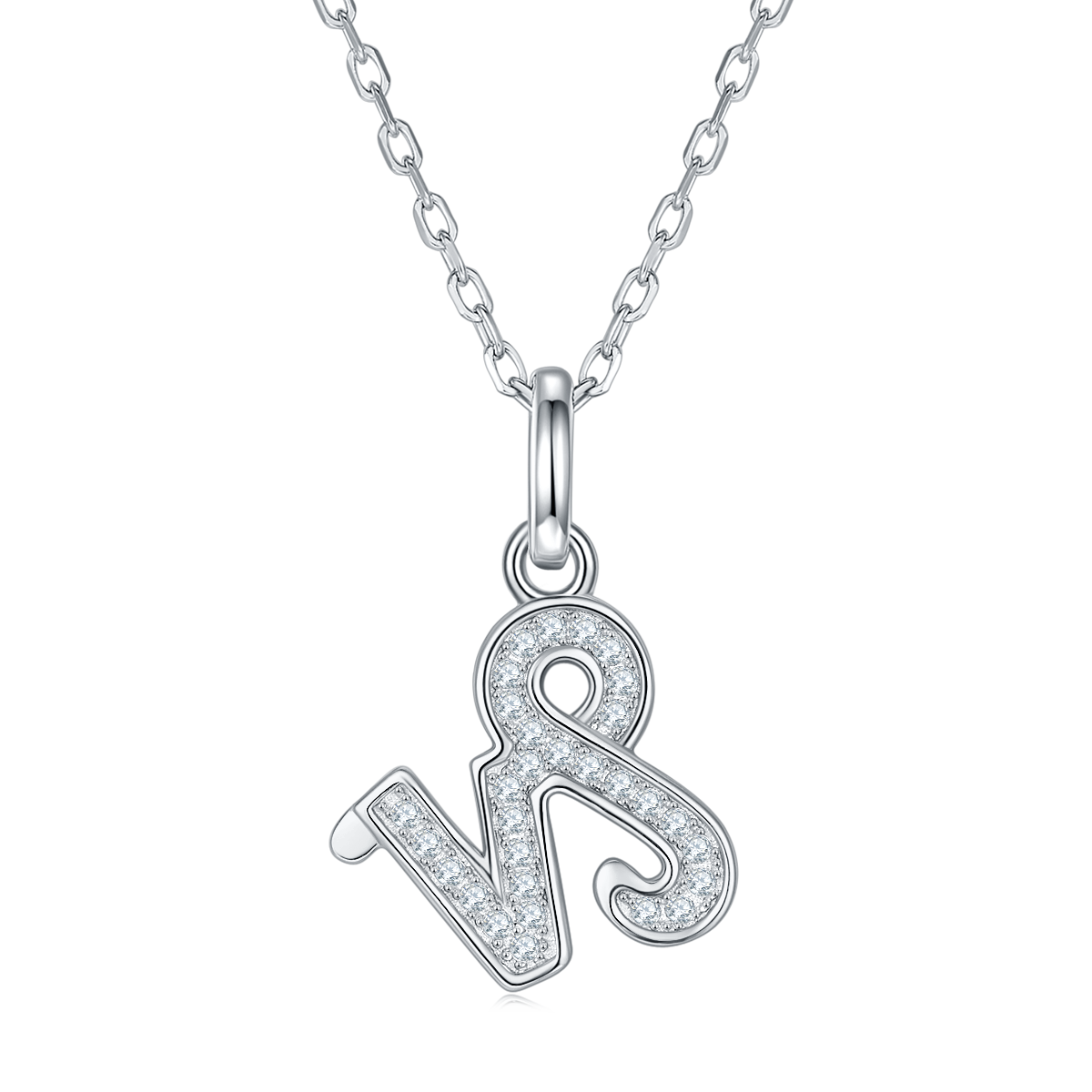 The Capricorn Necklace