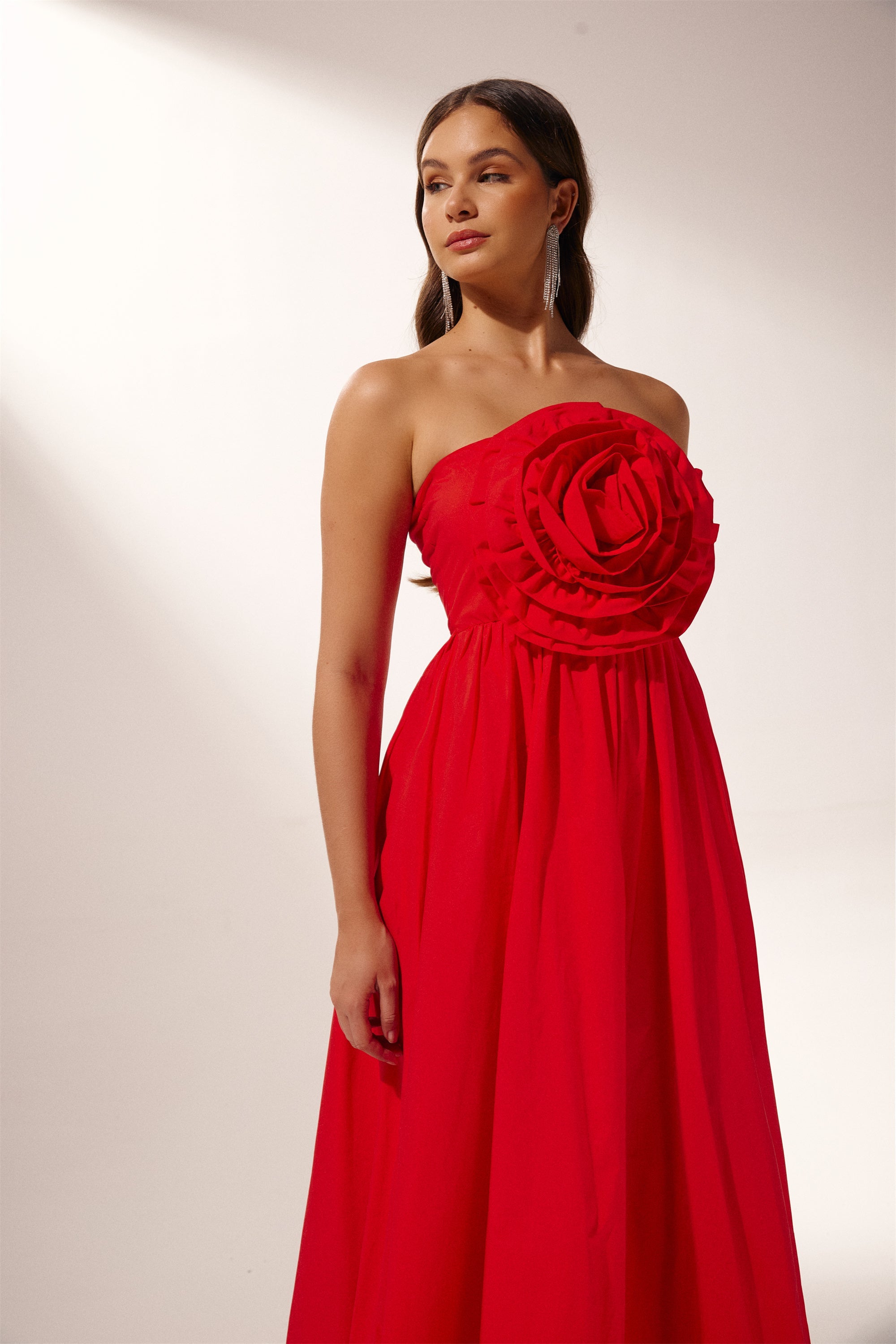 Frederica Flower Strapless Maxi Dress-ROVOLE