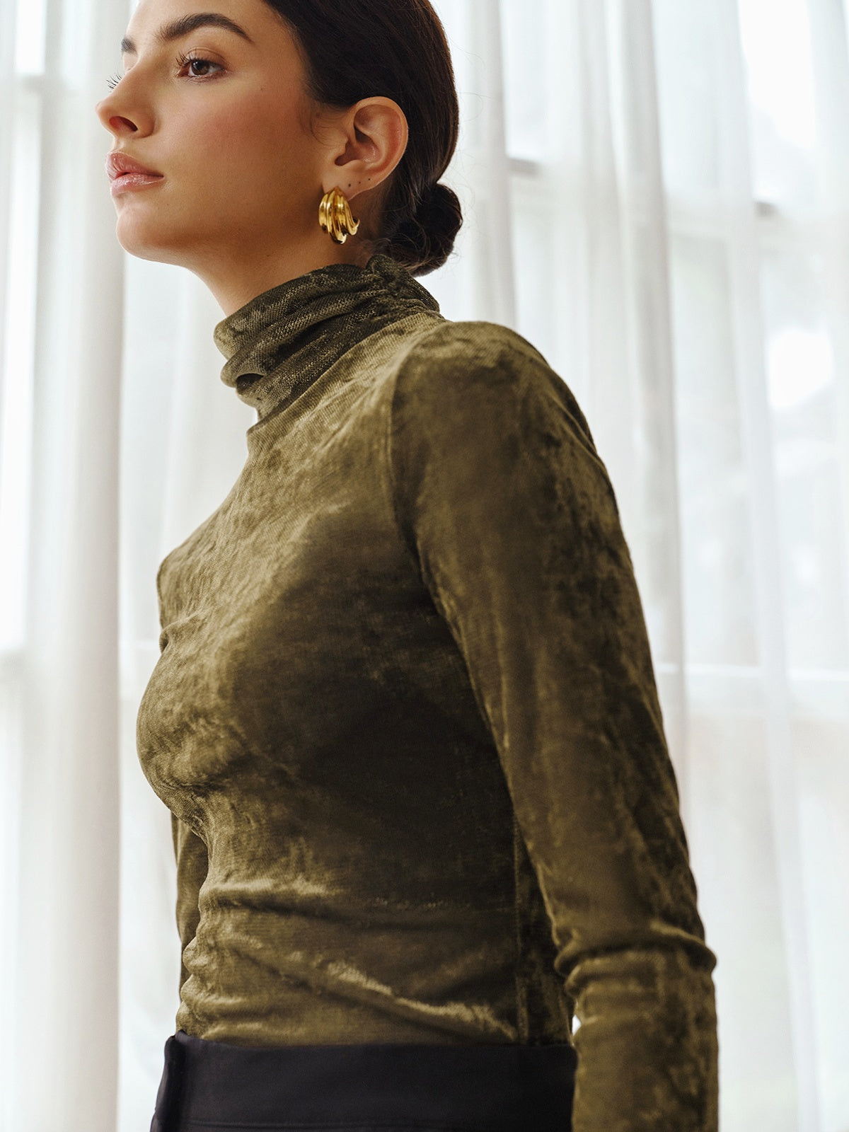 Turtleneck Semi-Sheer Velvet Top-Massicos