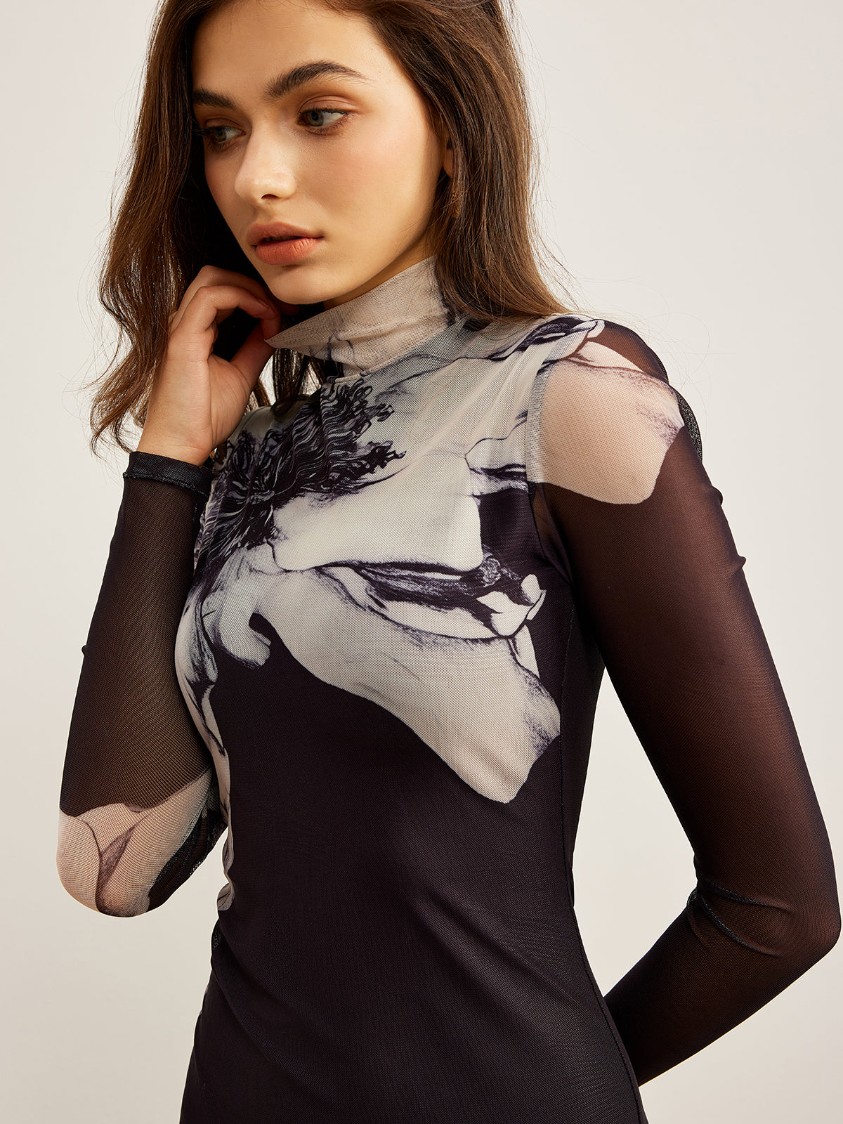 Mock Neck Printed Mesh Dress-Massicos