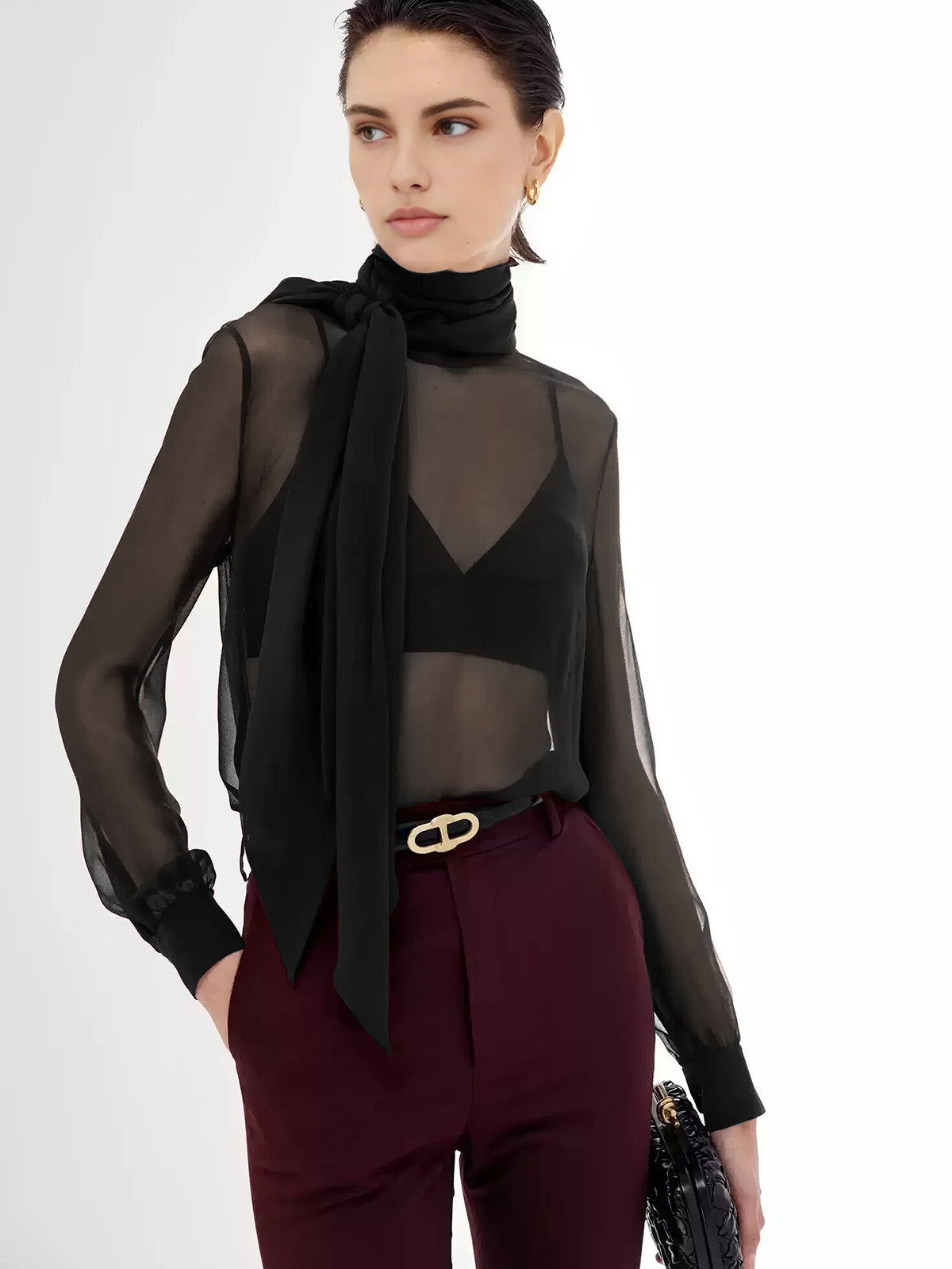 Sheer Bow Chiffon Blouse-Massicos
