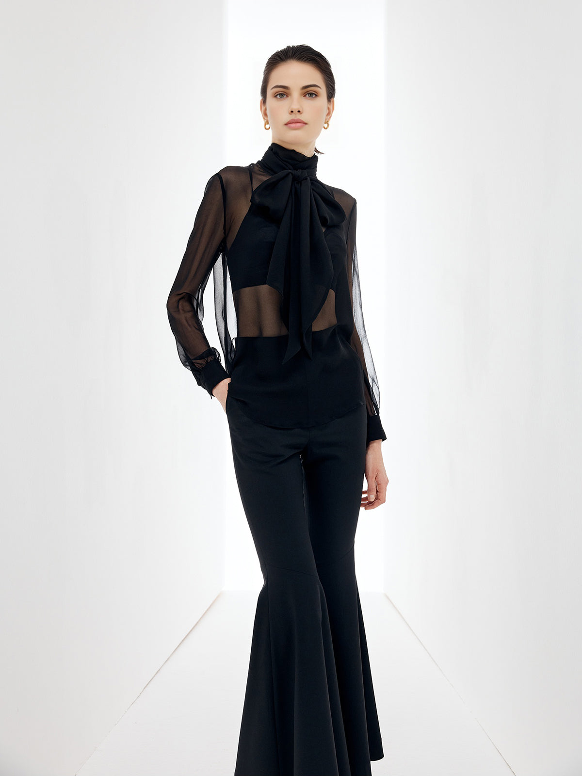 Sheer Bow Chiffon Blouse-Massicos
