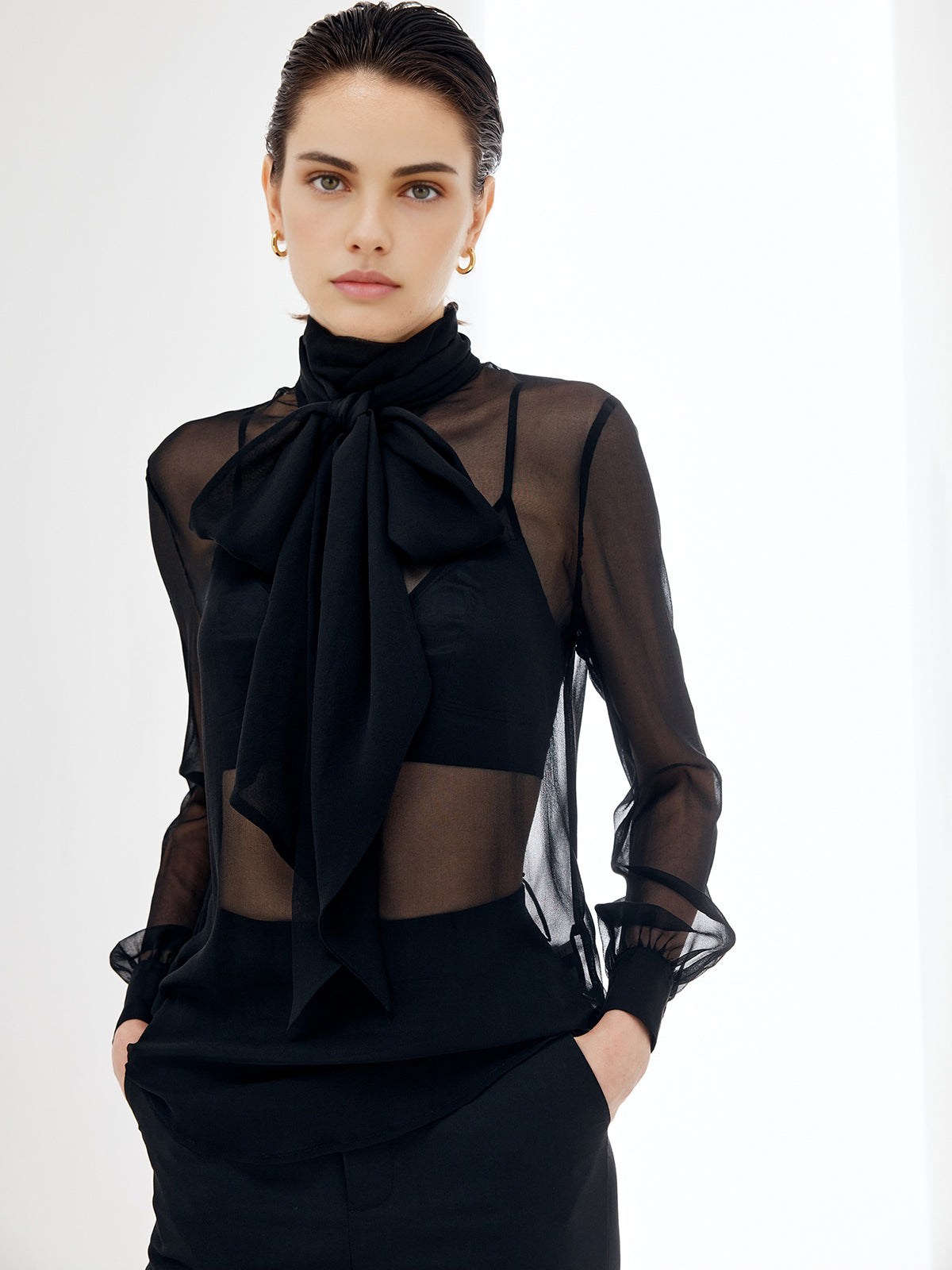 Sheer Bow Chiffon Blouse-Massicos