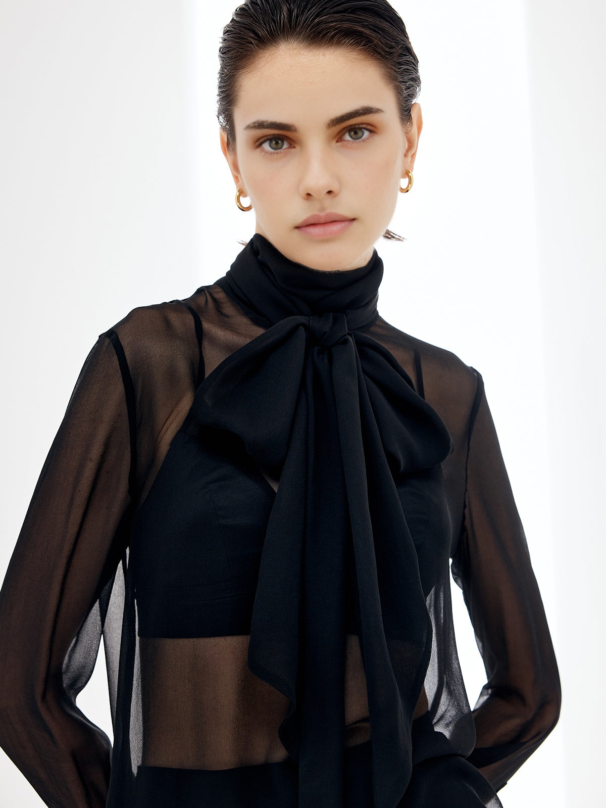 Sheer Bow Chiffon Blouse-Massicos