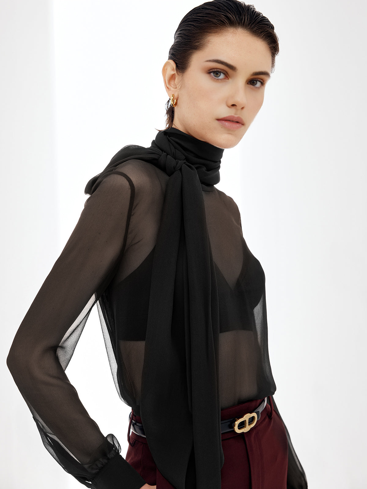 Sheer Bow Chiffon Blouse-Massicos