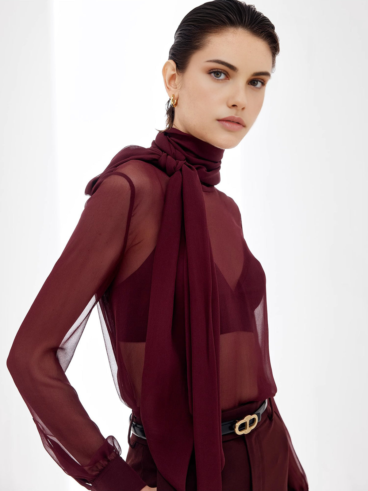 Sheer Bow Chiffon Blouse-Massicos