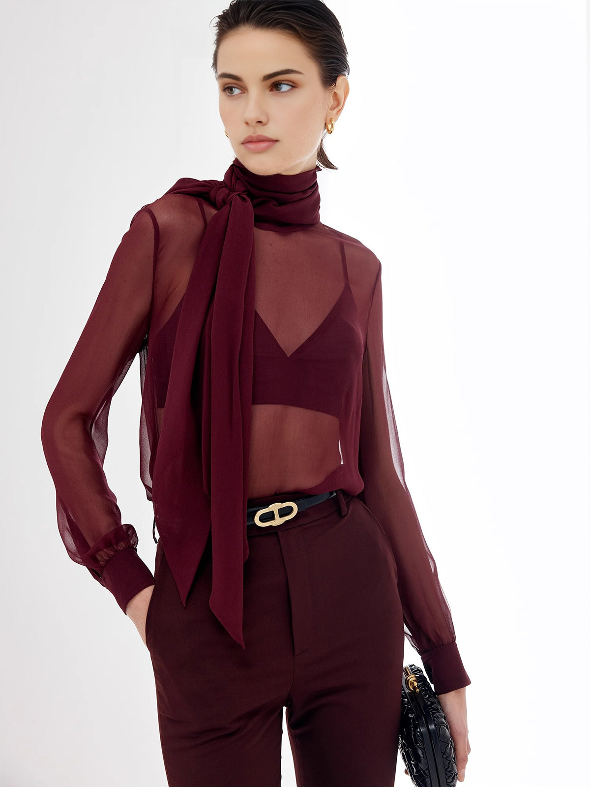 Sheer Bow Chiffon Blouse-Massicos