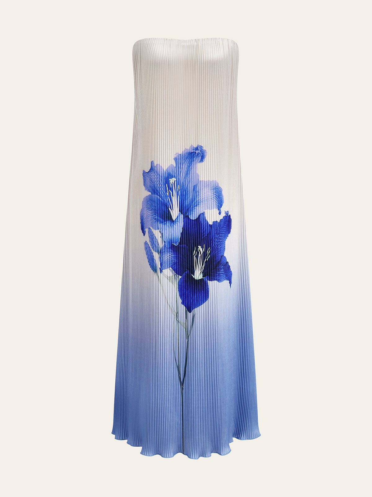 Floral Print Gradient Strapless Pleated Maxi Dress-Massicos
