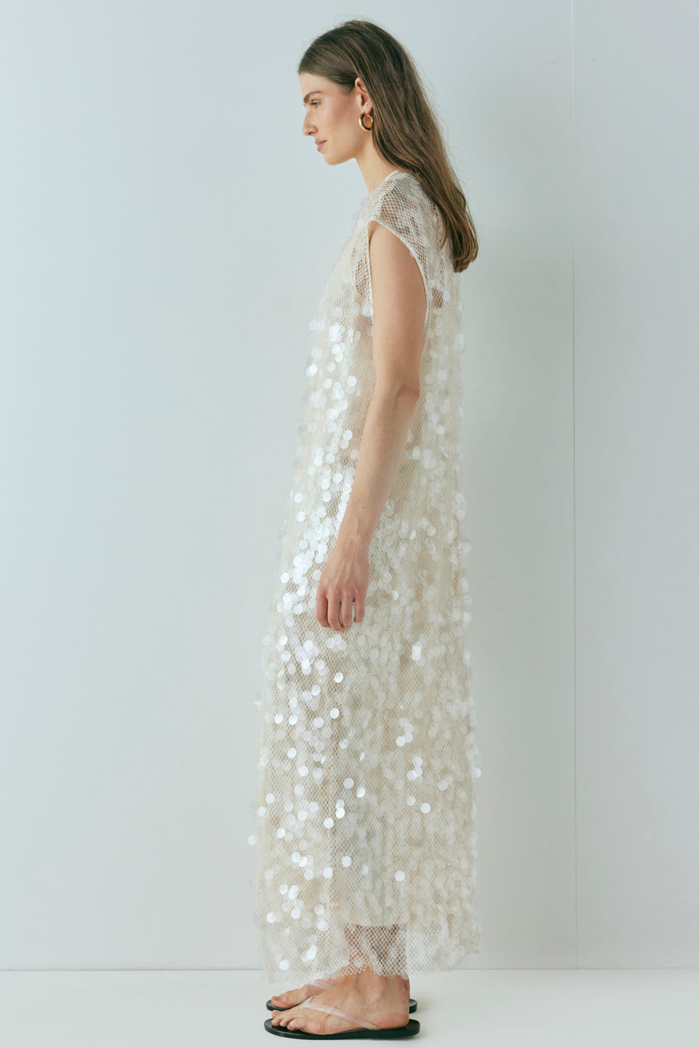 Sheer Sequin - Embellished Maxi Dress