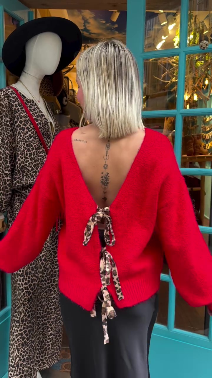 Deep v sweater with leopard print trim-Massicos