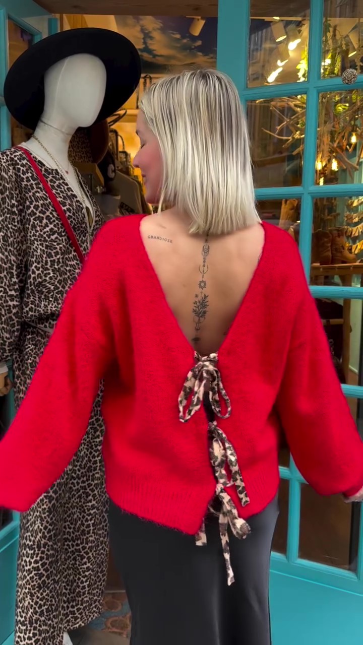 Deep v sweater with leopard print trim-Massicos
