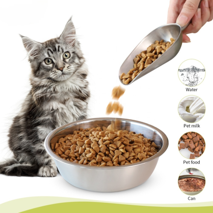 Silver stainless steel dog food bowl