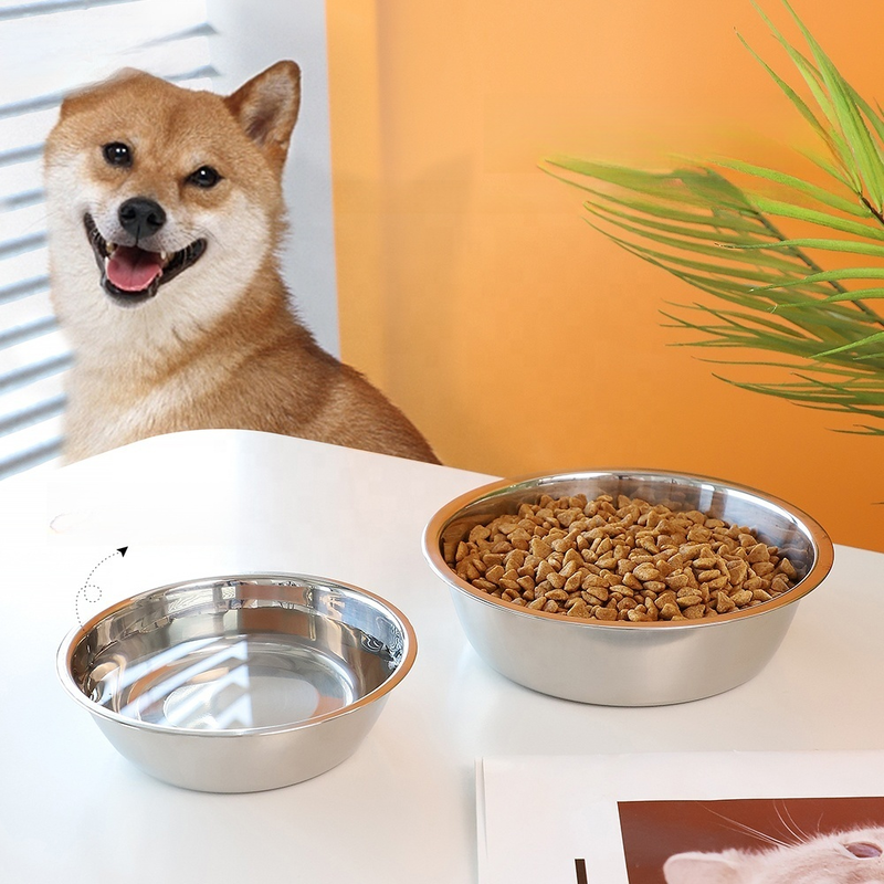 Silver stainless steel dog food bowl