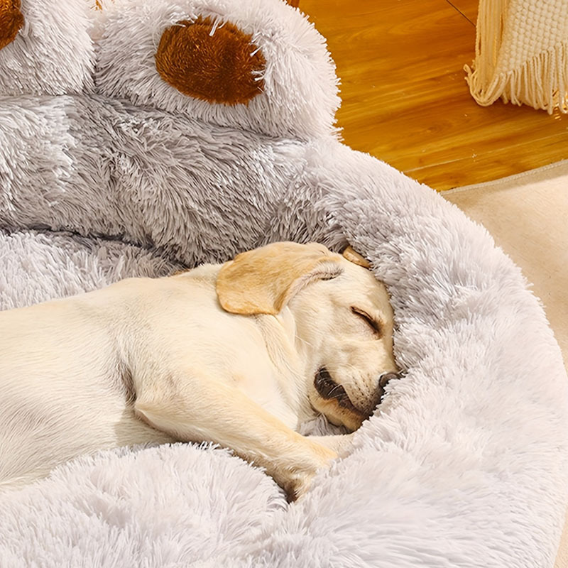 Cartoon bear paw cat and dog mat