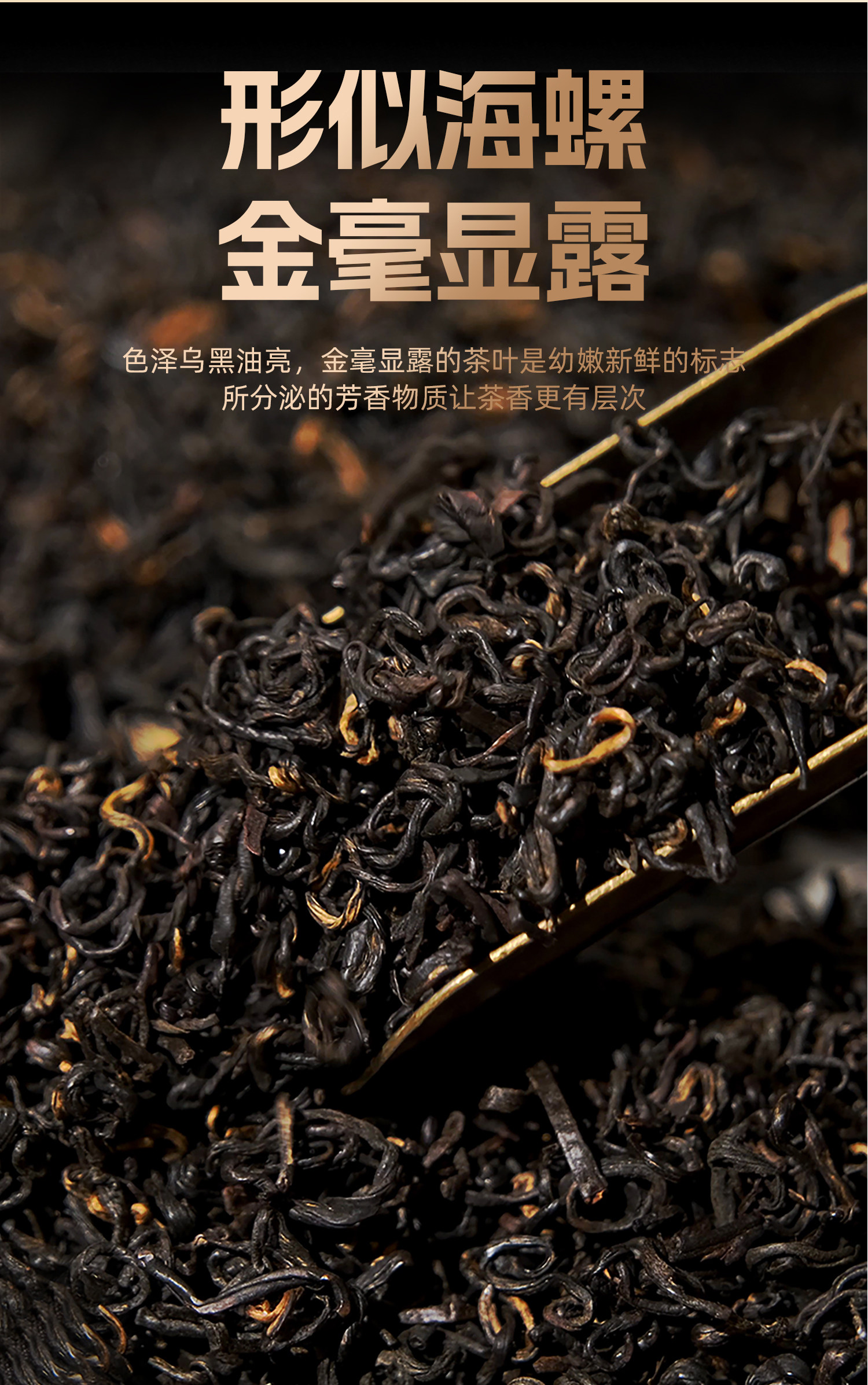 2026天之红牌特级祁门红茶香螺纸包装180g  2026 Tianzhi Red Label Premium Qimen Black Tea Xiangluo Paper Packaging 180g（6.3oz）