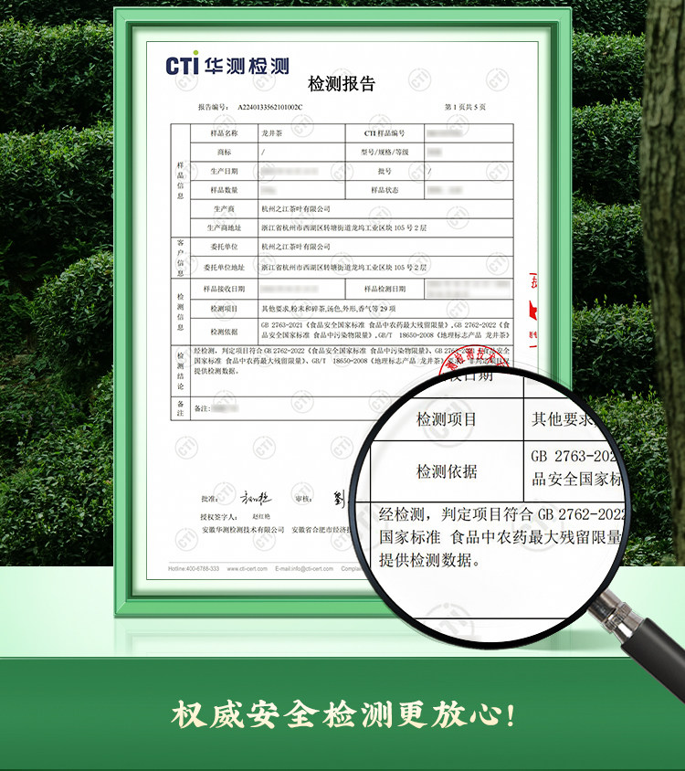 2026狮峰牌四级越州龙井43号谷雨前龙井绿茶250g 2026 Shifeng Brand Grade 4 Yuezhou Longjing No. 43 Pre-Grain Rain Longjing Green Tea 250g（8.8oz）
