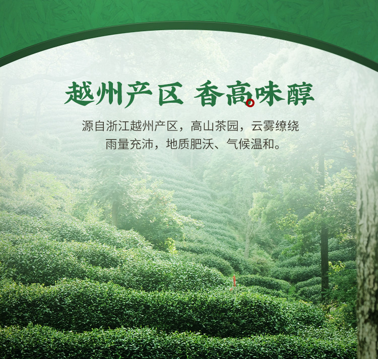 2026狮峰牌四级越州龙井43号谷雨前龙井绿茶250g 2026 Shifeng Brand Grade 4 Yuezhou Longjing No. 43 Pre-Grain Rain Longjing Green Tea 250g（8.8oz）