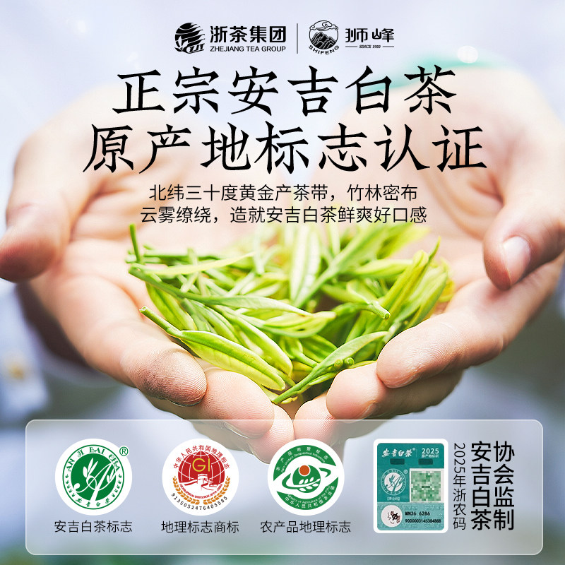 2026狮峰牌一级雨前安吉白茶35g 2026 Shifeng Brand First Grade Pre-Rain Anji White Tea 35g（1.2oz）