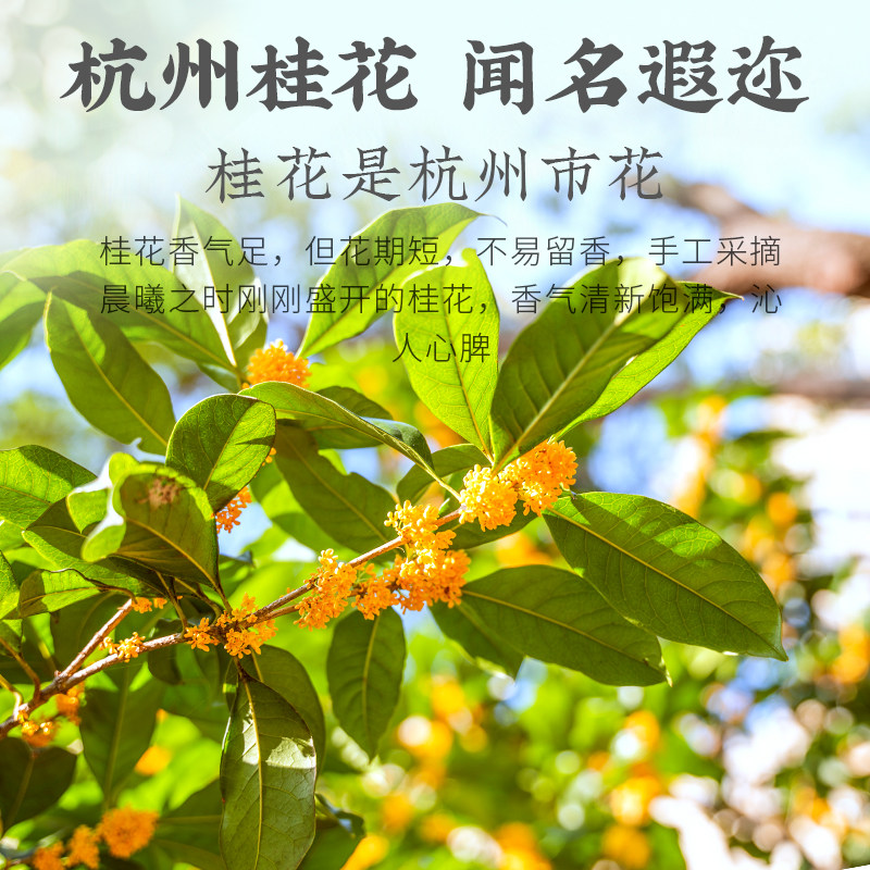 2026狮峰牌桂花红茶九曲红梅牛皮纸包装150g2026 Shifeng Brand Osmanthus Black Tea, Nine-Curve Red Plum, Kraft Paper Packaging, 150g（5.3oz）