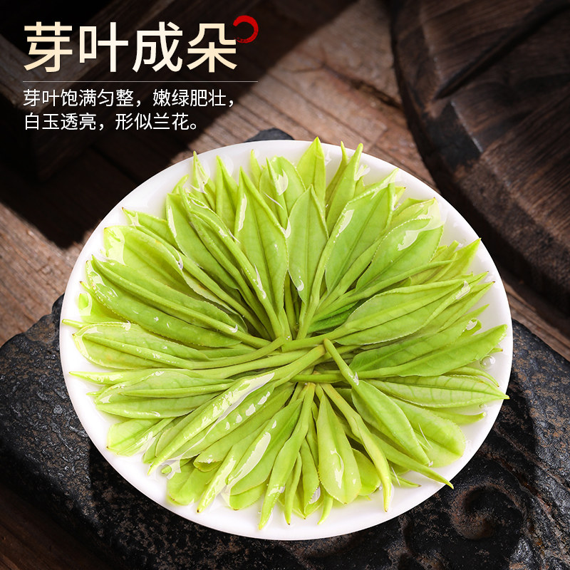安吉白茶2026新茶特级明前绿茶罐装100g Anji White Tea 2026 New Tea Premium Pre-Qingming Green Tea Canned 100g（3.5oz）