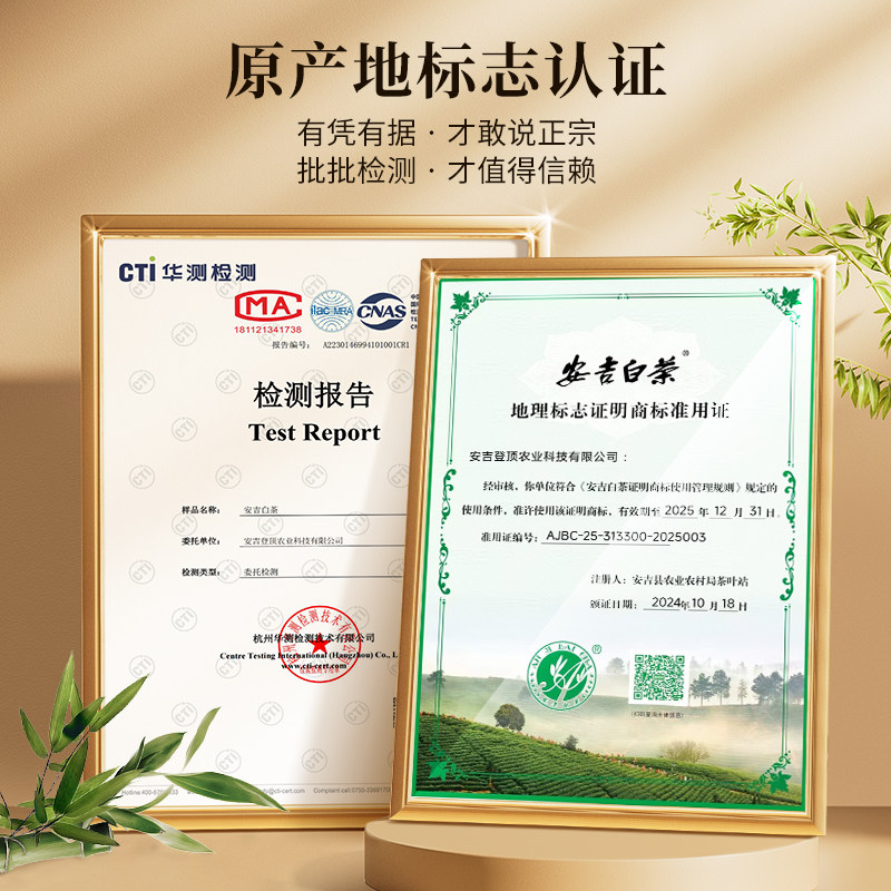 安吉白茶2026新茶特级明前绿茶袋装125g *2    (250g ） Anji White Tea 2026 New Tea Premium Pre-Qingming Green Tea Bagged 125g *2 (250g 8.8oz）