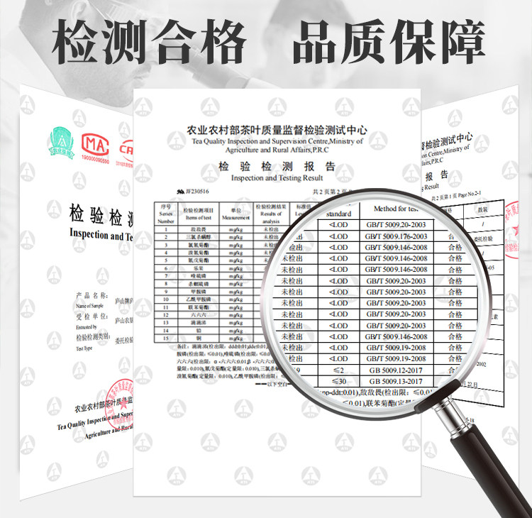 2026清明前特级庐山云雾茶叶罐装60g 2026 Pre-Qingming Premium Lushan Cloud Mist Tea, 60g Canned （2.1oz）