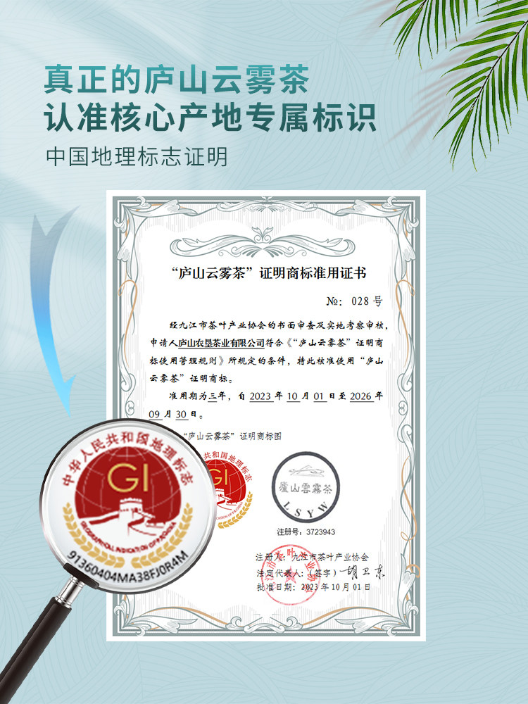 2026清明前特级庐山云雾茶叶罐装60g 2026 Pre-Qingming Premium Lushan Cloud Mist Tea, 60g Canned （2.1oz）
