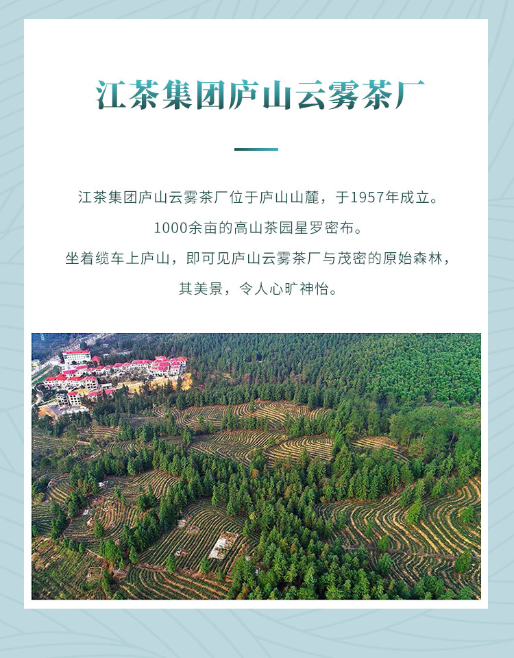 2026清明前特级庐山云雾茶叶罐装60g 2026 Pre-Qingming Premium Lushan Cloud Mist Tea, 60g Canned （2.1oz）