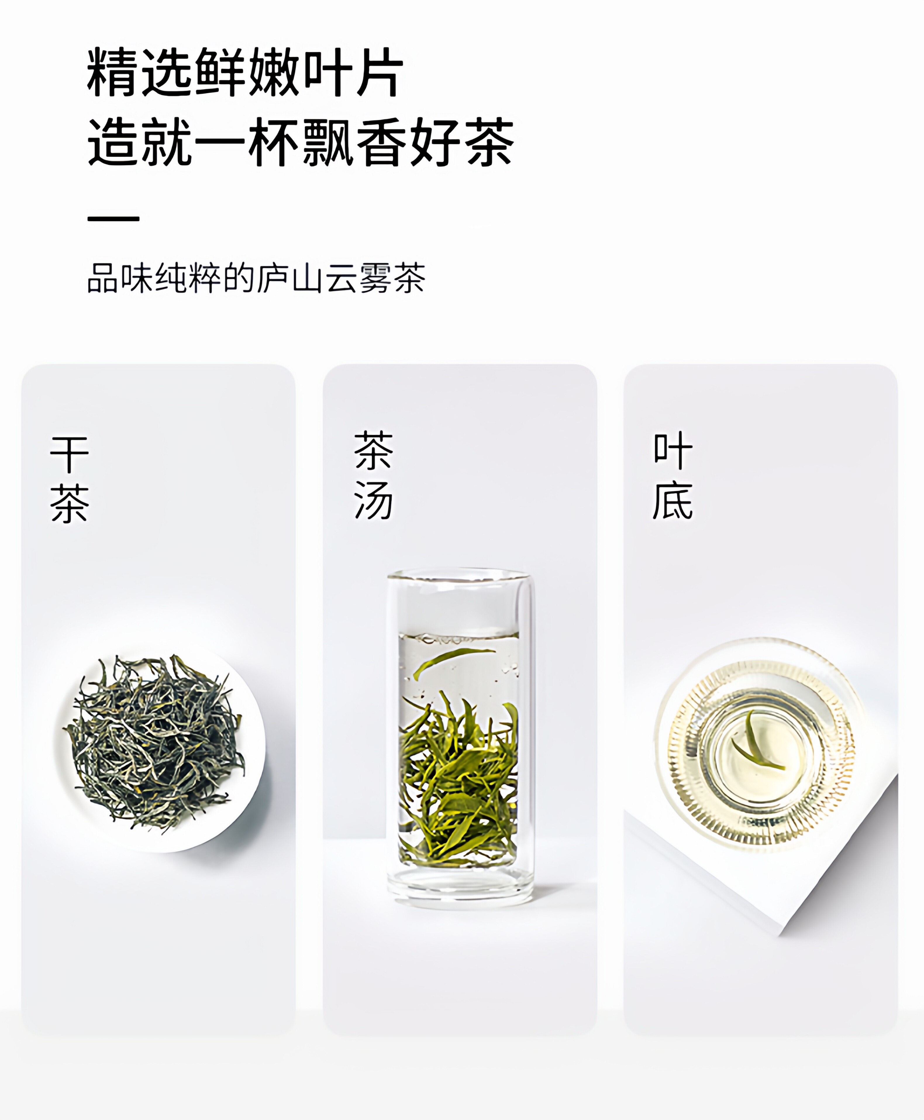 2026清明前一级庐山云雾茶叶礼盒装50g*2 （100g） 2026 Qingming Preceding First Grade Lushan Cloud Mist Tea Gift Box 50g*2 (100g 3.5oz）