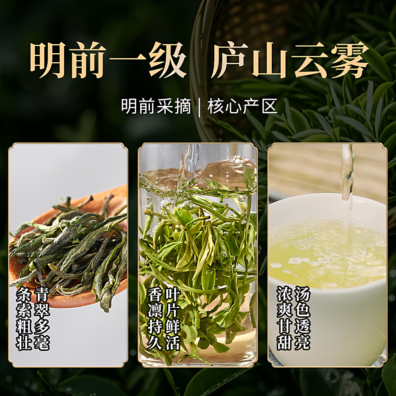 2026清明前一级庐山云雾茶叶铝箔袋装250g  2026 Qingming Pre-Harvest Grade 1 Lushan Cloud Fog Tea, 250g Aluminum Foil Bag (8.8oz）
