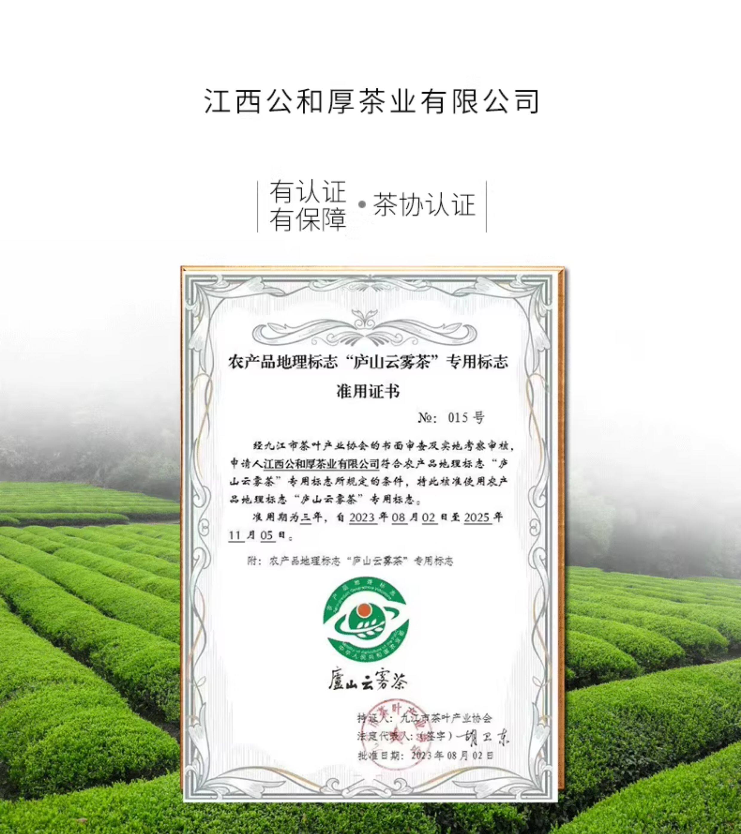2026雨前一级庐山云雾茶叶罐装2*60g  2026 Pre-Rain First Grade Lushan Cloud Mist Tea, Canned, 2*60g（120g 4.2oz）