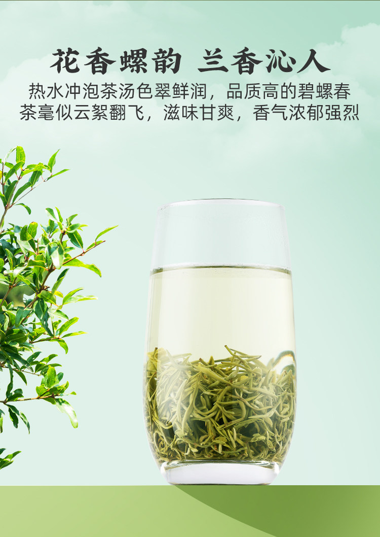 2026狮峰牌特级碧螺春绿茶罐装100g  2026 Shifeng Brand Premium Biluochun Green Tea Canned 100g（3.5oz）