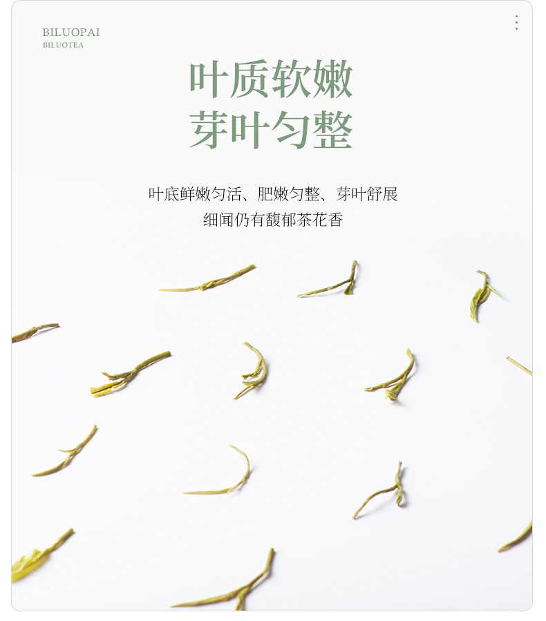2026碧螺牌雨前特级碧螺春绿茶罐装100g  2026 Biluo Brand Pre-Rain Premium Biluochun Green Tea, 100g Canned（3.5oz）