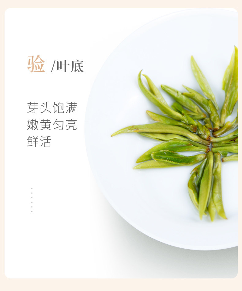 2026谢裕大明前特级黄山毛峰金奖顶芽袋装100g  2026 Xie Yuda Mingqian Special Grade Huangshan Maofeng Gold Award Top Bud Bagged 100g（3.5oz）