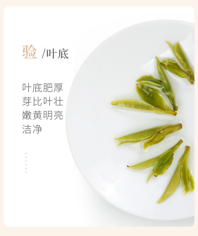 2026谢裕大明前特级黄山毛峰金奖顶芽袋装60g  2026 Xie Yuda Mingqian Special Grade Huangshan Maofeng Gold Award Top Bud Bagged 60g（2.1oz）
