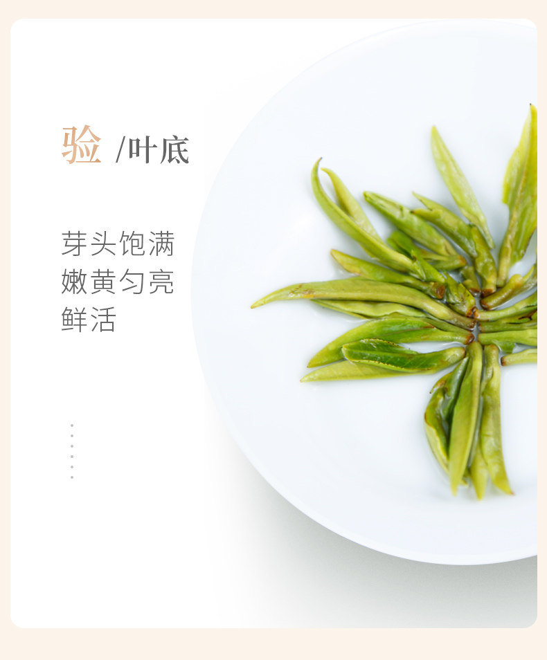 2026谢裕大明前特级黄山毛峰礼盒独立包装156g  2026 Xie Yuda Mingqian Premium Huangshan Maofeng Gift Box, Individually Packaged 156g（5.5oz）