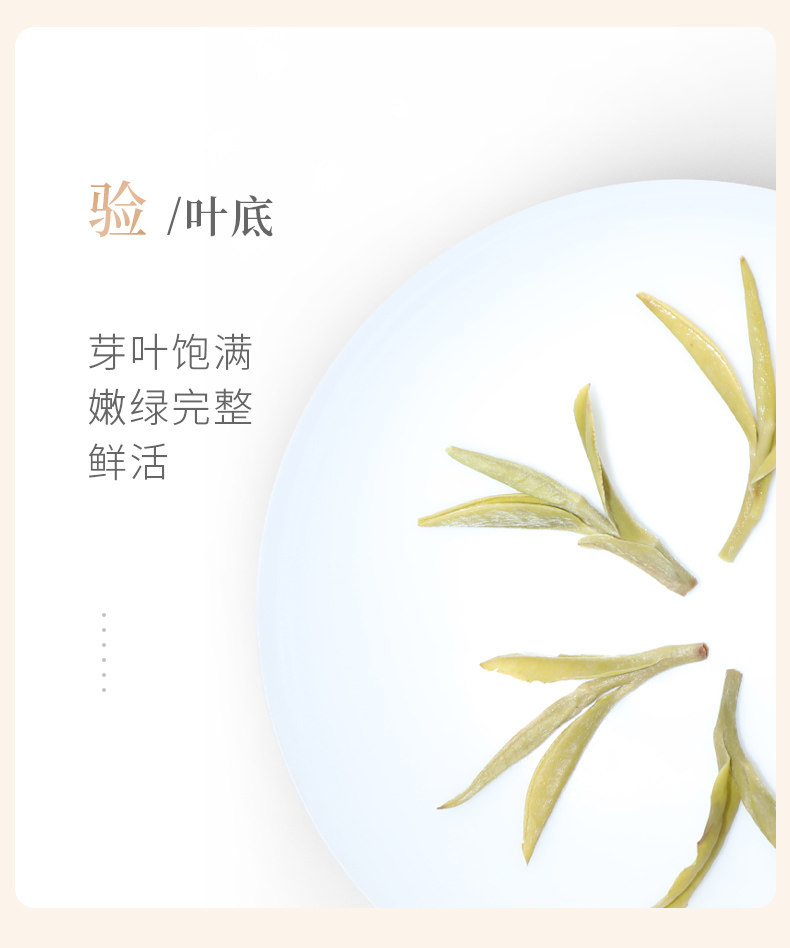 2026谢裕大明前特级黄山毛峰嫩尖袋装100g  2026 Xie Yuda Mingqian Special Grade Huangshan Maofeng Tender Tips Bagged 100g（3.5oz）