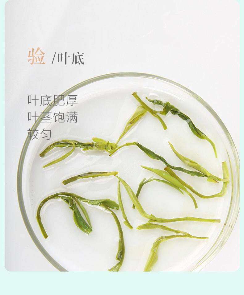 2026谢裕大雨前一级黄山毛峰礼盒装300g  2026 Xie Yuda Pre-Rain Grade 1 Huangshan Maofeng Gift Box 300g（10.5oz）