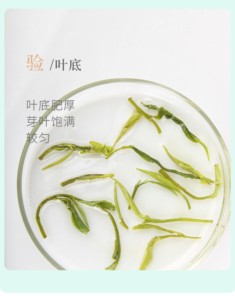 2026谢裕大雨前一级黄山毛峰袋装200g  2026 Xie Yuda Pre-Rain First Grade Huangshan Maofeng Tea Bag 100g（3.5oz）