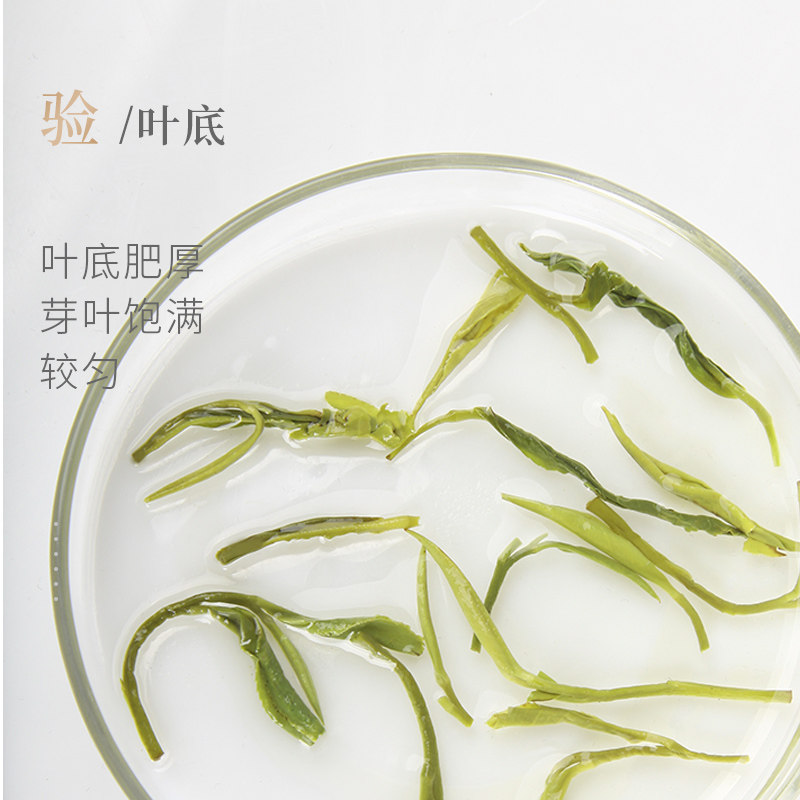 2026谢裕大雨前一级黄山毛峰袋装250g  2026 Xie Yuda Pre-Rain First Grade Huangshan Maofeng Tea Bag 250g（8.8oz）