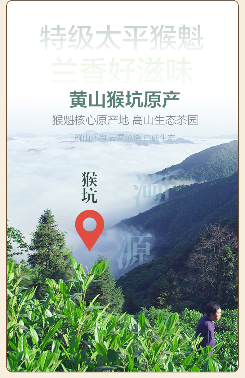 2026特级雨前太平猴魁绿茶手工制作罐装50g  2026 Premium Pre-Rain Taiping Houkui Green Tea Handcrafted Canned 50g（1.7oz）