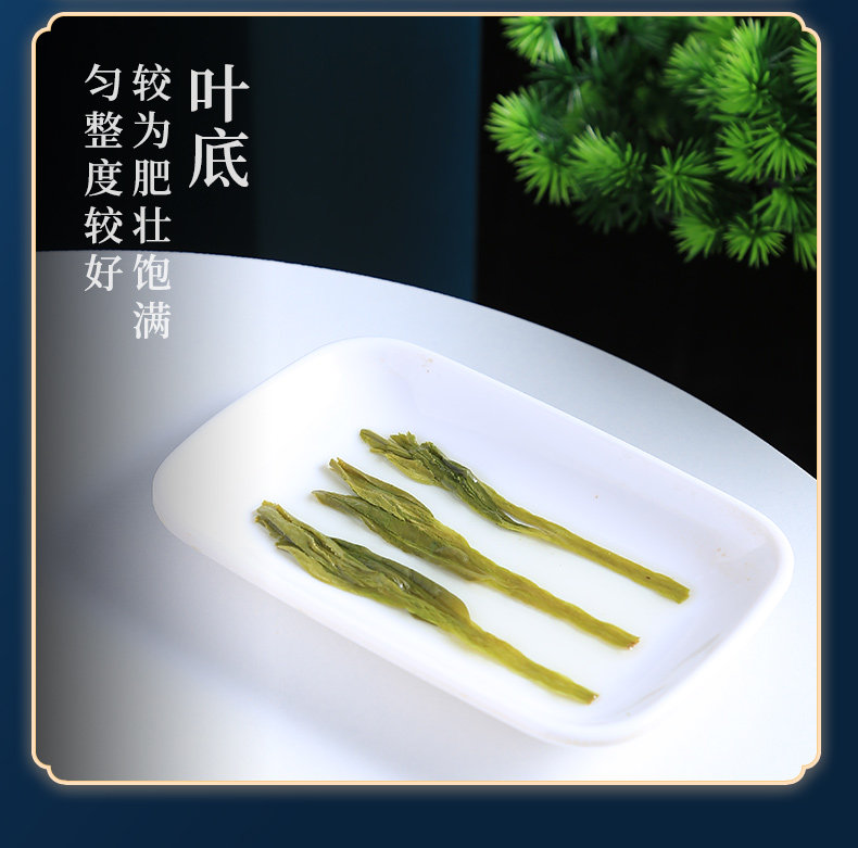2026徽六牌二级雨前太平猴魁高山绿茶袋装250g  2026 Hui Liu Brand Grade 2 Pre-Rain Taiping Houkui High Mountain Green Tea Bag 250g（8.8oz）