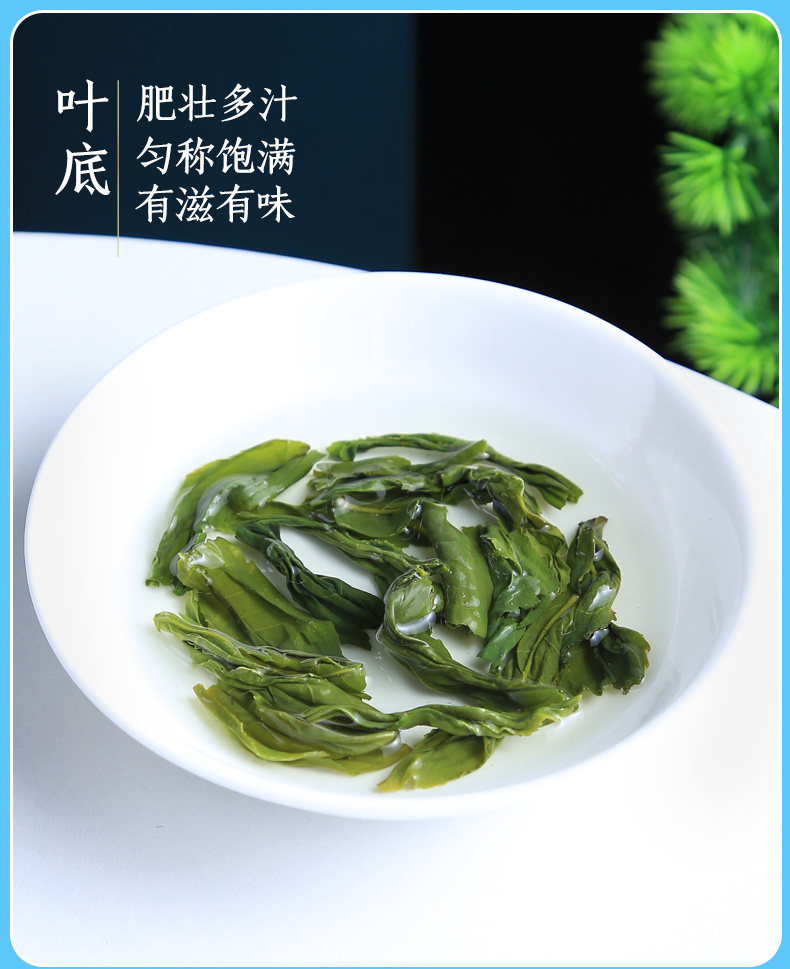 2026徽六牌一级雨前六安瓜片潜香600绿茶罐装250g  2026 Hui Liu Brand First Grade Pre-Rain Liu An Gua Pian Subtle Aroma 600 Green Tea Canned 250g（8.8oz）