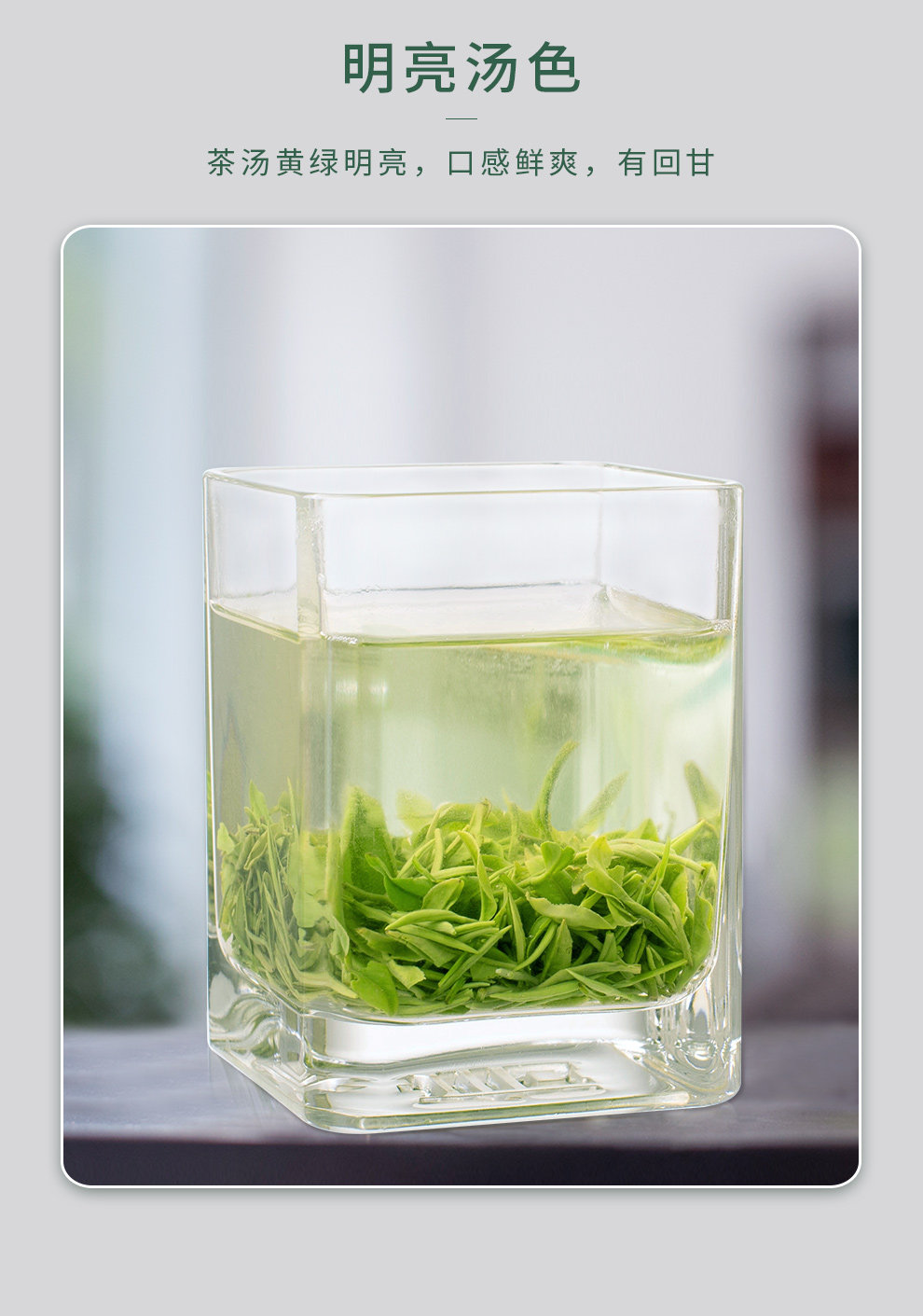2026文新牌特级明前信阳毛尖绿茶绿罐装50g  2026 Wenxin Brand Premium Pre-Qingxin Xinyang Maojian Green Tea, Green Tin, 50g（1.7oz）