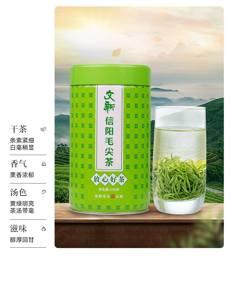 2026文新牌一级雨前信阳毛尖绿茶罐装200g  2026 Wenxin Brand First Grade Pre-Rain Xinyang Maojian Green Tea, Canned, 200g（7oz）