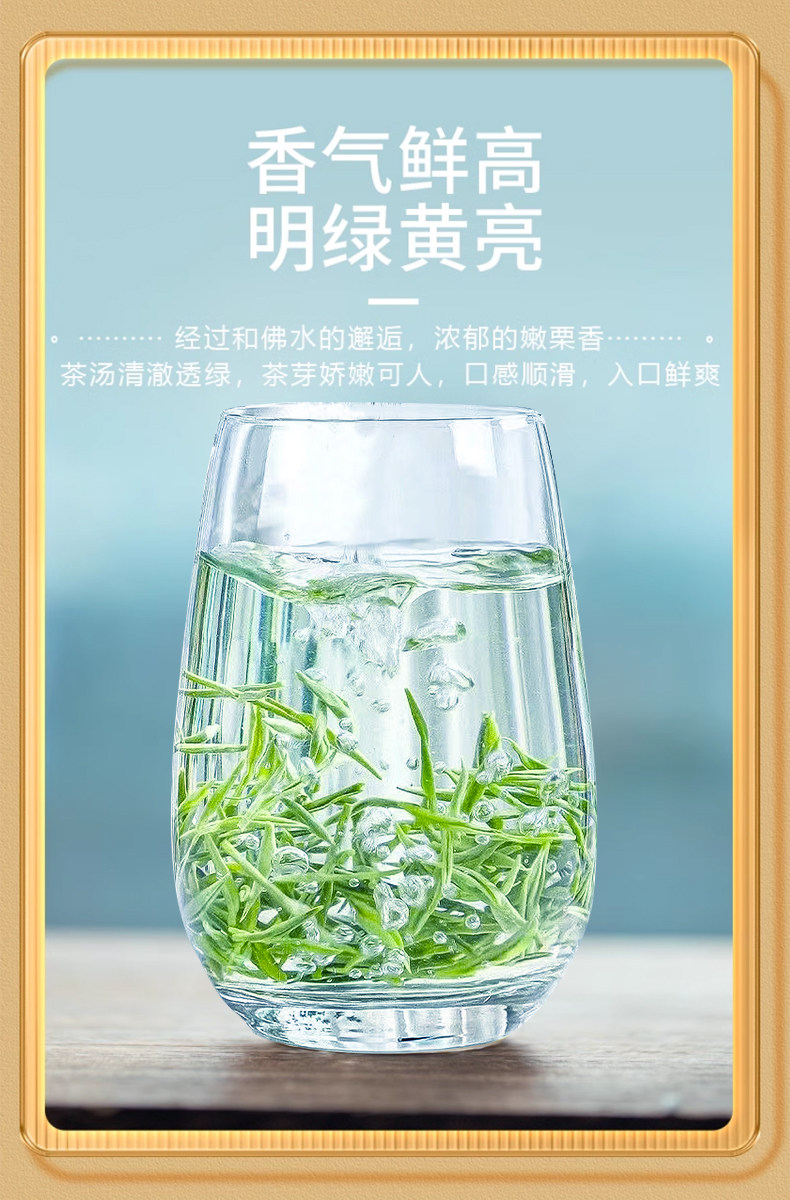 2026豫春尖牌特级信阳毛尖绿茶罐装250g  2026 Yu Chunjian Brand Premium Xinyang Maojian Green Tea Canned 250g（8.8oz）