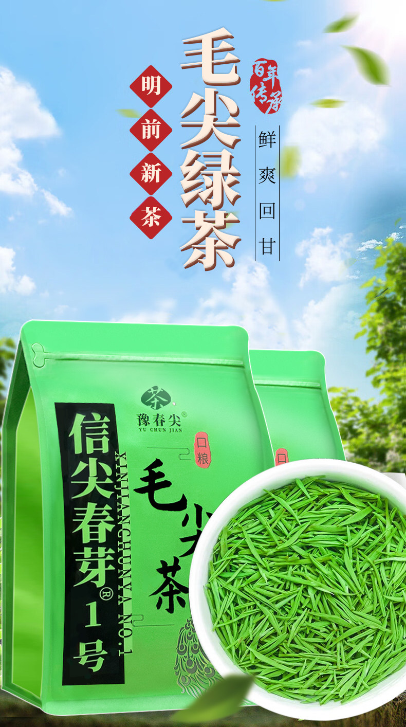2026豫春尖牌特级信阳毛尖绿茶袋装500g  2026 Yu Chun Jian Brand Premium Xinyang Maojian Green Tea Bagged 500g（17.6oz）