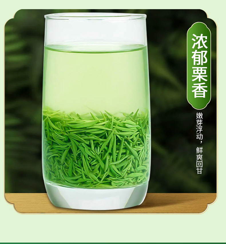 2026豫春尖牌特级信阳毛尖绿茶袋装500g  2026 Yu Chun Jian Brand Premium Xinyang Maojian Green Tea Bagged 500g（17.6oz）