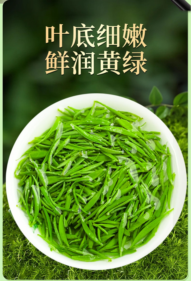 2026豫春尖牌雨前特级信阳毛尖绿茶礼盒装500g  2026 Yu Chunjian Premium Pre-Rain Xin Yang Mao Jian Green Tea Gift Box 500g（17.6oz）