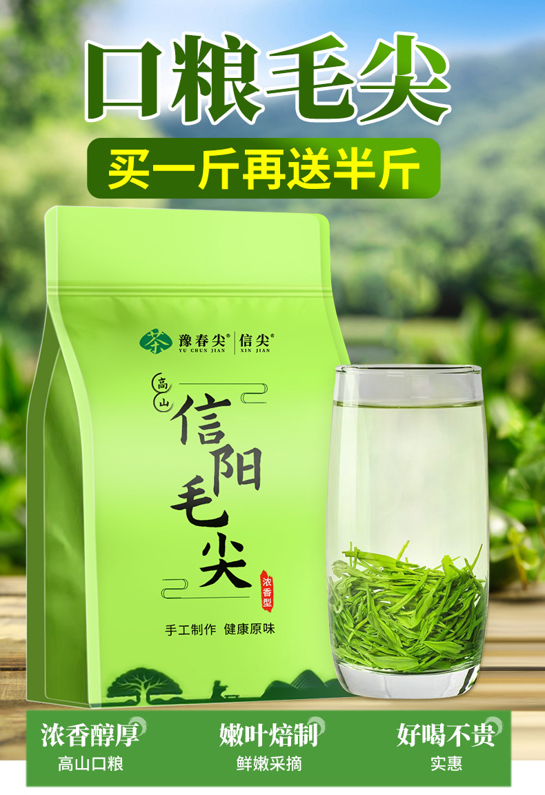 2026豫春尖牌特级明前信阳毛尖绿茶袋装750g  2026 Yu Spring Jian Brand Premium Pre-Qing Xin Yang Mao Jian Green Tea Bagged 750g（26.4oz）